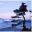 vastvisions.wordpress.com