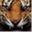 vishnunarayanan.wordpress.com