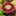 flowersandfoundobjects.com