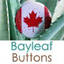 shop.bayleafbuttons.com