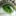 biometrics-fingerprint.net