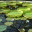 hweimar.wordpress.com