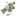 wealth-bulletin-and-news.wealth.tel