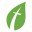 ccofw.org