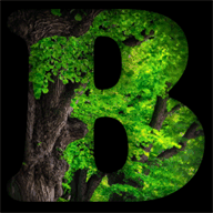 bitcointraders.org