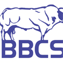 ibbcs.com