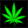 sativa-cannabis.net