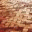 entekabimata.wordpress.com
