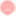 exidworldintl.com