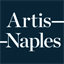 arts-npo.org