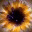 medinascience.wordpress.com