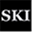 skicollision.com