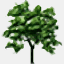 tree.oliviergilardi.com