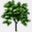 tree.oliviergilardi.com