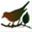 lafloridadelvalle.com