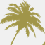 kekaha.mso-server3.com