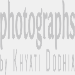 khyatidodhia.com