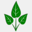 upnorthskincare.com.au