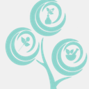 holistichealthcaremiami.com