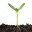regeneratepeace.wordpress.com