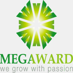 megawardpropertygroup.com.au