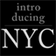 introducingnyc.com