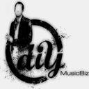 diymusicbiz.com