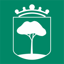 bollullosdelamitacion.org