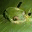 reservaecologicaparaisocarlisa.wordpress.com