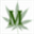 marijuana-license.com