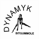 dynamyk.nl