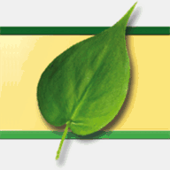 hethongchongsettiepdia.com