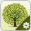 geneweb.liberobit.net