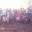 pecintaalammanguni.wordpress.com