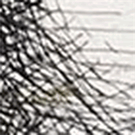 miode.com