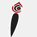 illustcourseonline.com