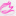 blooms.com.au