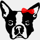 bostonterrier-bulltar.com