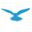 kestrel-cam.co.uk