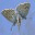 ntlargeblue.wordpress.com