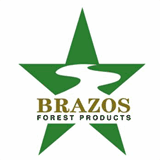 brazosfp.com