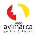 grupoavimarca.com
