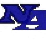 newyorkcitygangs.com