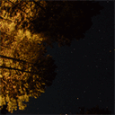 languageworldma.com
