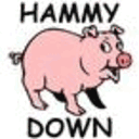 hammydownthepig.tumblr.com