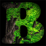 bitcointalk.info