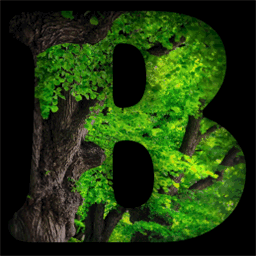 bitcointalk.info