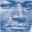 fdfi.org