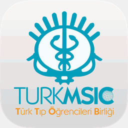 turkmsic.net