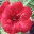 permacursos.wordpress.com